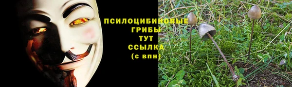стафф Балахна