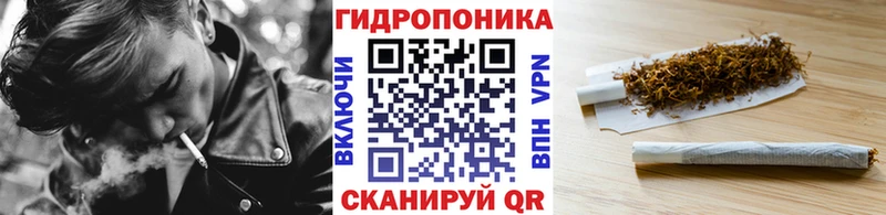 Бошки Шишки сатива  Красный Сулин 